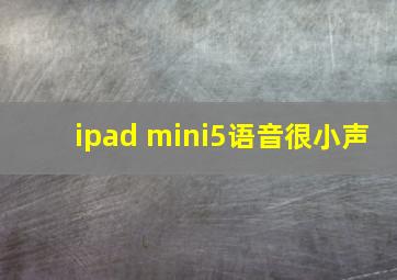 ipad mini5语音很小声